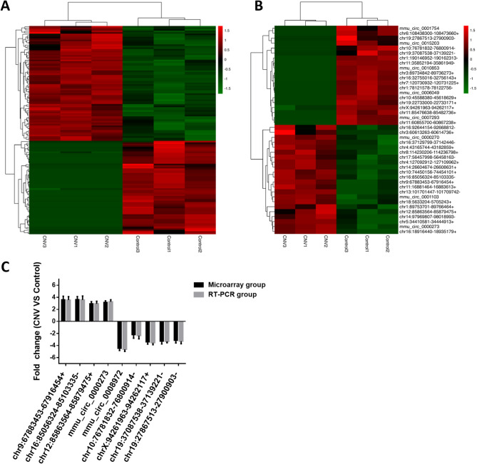 Identification of aberrantly expressed circular RNAs in choroidal neovascularization in mice.