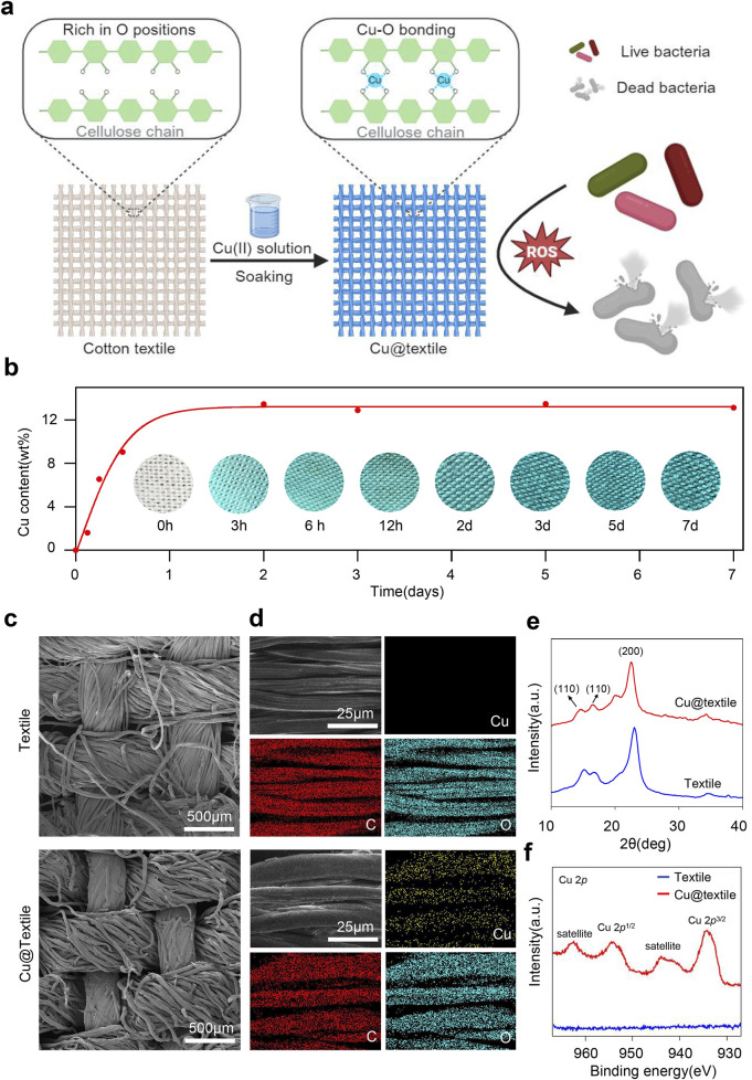 Antibacterial Cu-doped cotton textile against respiratory pathogens for preventing hospital-acquired infections.
