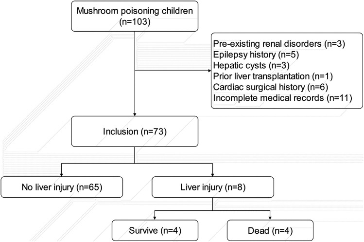 Epidemiology and clinical aspect of pediatric mushroom poisonings: a 15-year retrospective analysis.