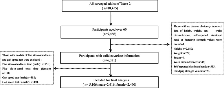 Association between simplified anthropometric age and functional performance metrics in older Chinese adults: A study on muscle strength, sit-to-stand ability, and gait speed.