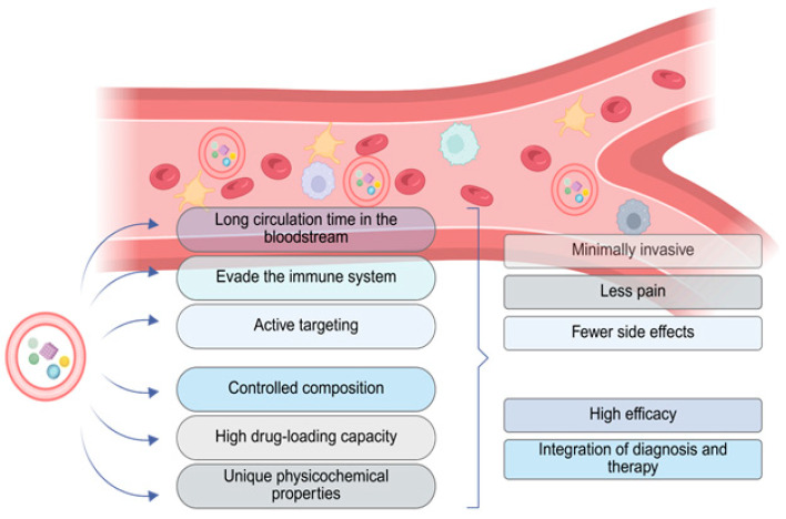 Smart Red Blood Cell Carriers: A Nanotechnological Approach to Cancer Drug Delivery.