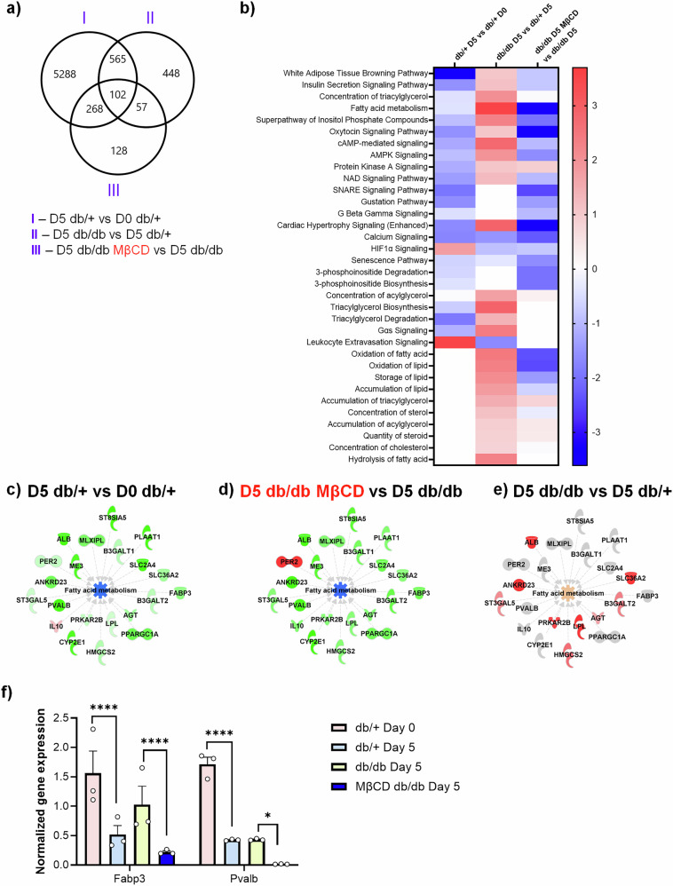 Scaffolds with spatiotemporally controlled growth factor delivery and cyclodextrin-enabled antagonism of growth factor receptor sequestration promote cutaneous wound healing.