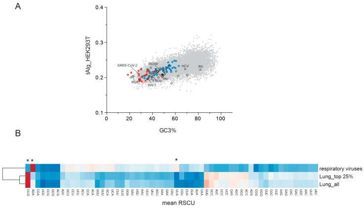 Codon Usage Bias in Human RNA Viruses and Its Impact on Viral Translation, Fitness, and Evolution.