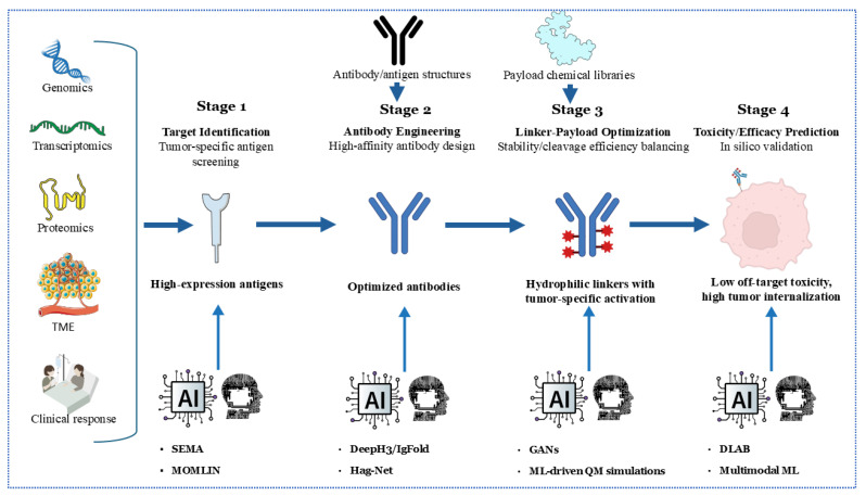 Antibody-Drug Conjugates in Breast Cancer: Navigating Innovations, Overcoming Resistance, and Shaping Future Therapies.