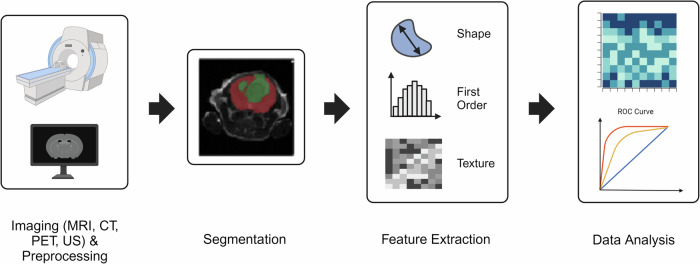 Radiomics in preclinical imaging research: methods, challenges and opportunities.