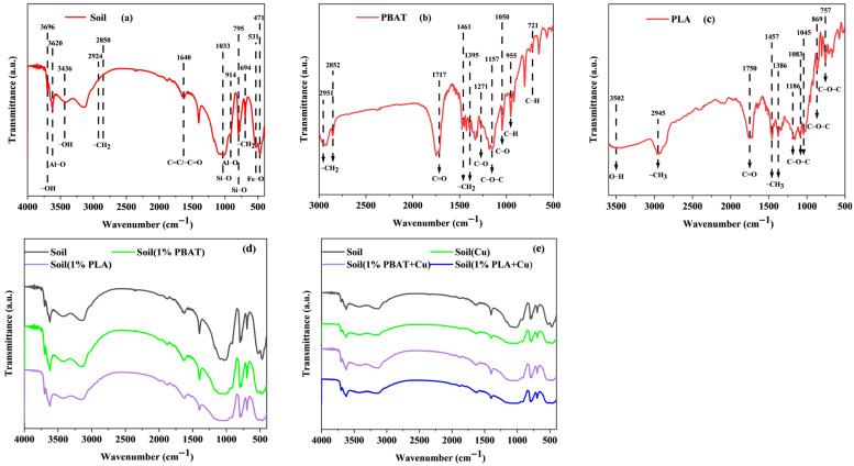 Insights into How Degradable Microplastics Enhance Cu<sup>2+</sup> Mobility in Soil Through Interfacial Interaction.