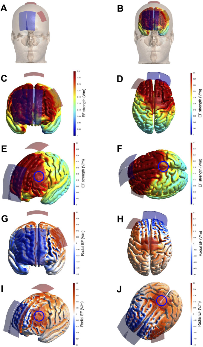 Effect of repeated sessions of dual-site anodal tDCS on post-exercise performance and subjective recovery in recreationally active females: a randomized controlled trial.