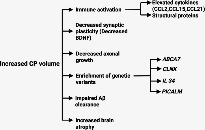 Bridging the barrier: insights into blood biomarkers and therapeutic strategies targeting choroid plexus and BBB dysfunction in alzheimer's disease.