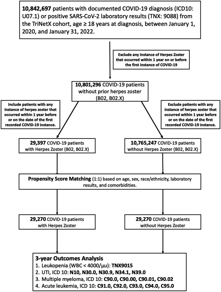 Risk of hematologic malignancies following herpes zoster after COVID-19: a global cohort study.