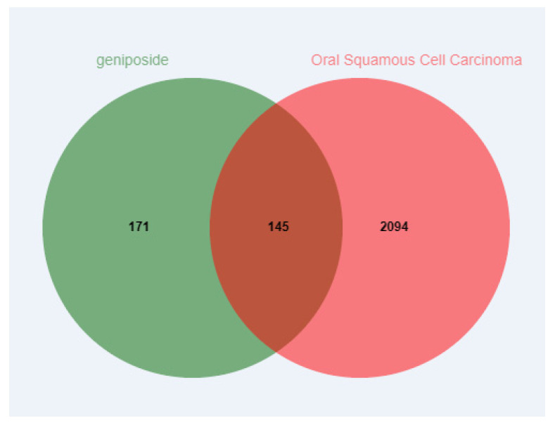 Geniposide Inhibits Oral Squamous Cell Carcinoma by Regulating PI3K-Akt Signaling-Mediated Apoptosis: A Multi-Method Validation Study.