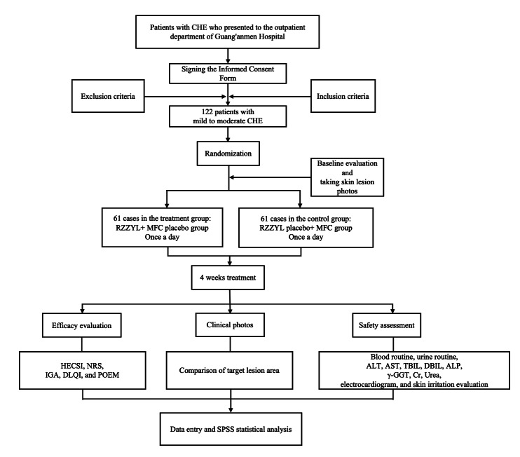Efficacy and Safety of Runzaozhiyang Lotion for Chronic Hand Eczema: Protocol for a Randomized Controlled Trial.