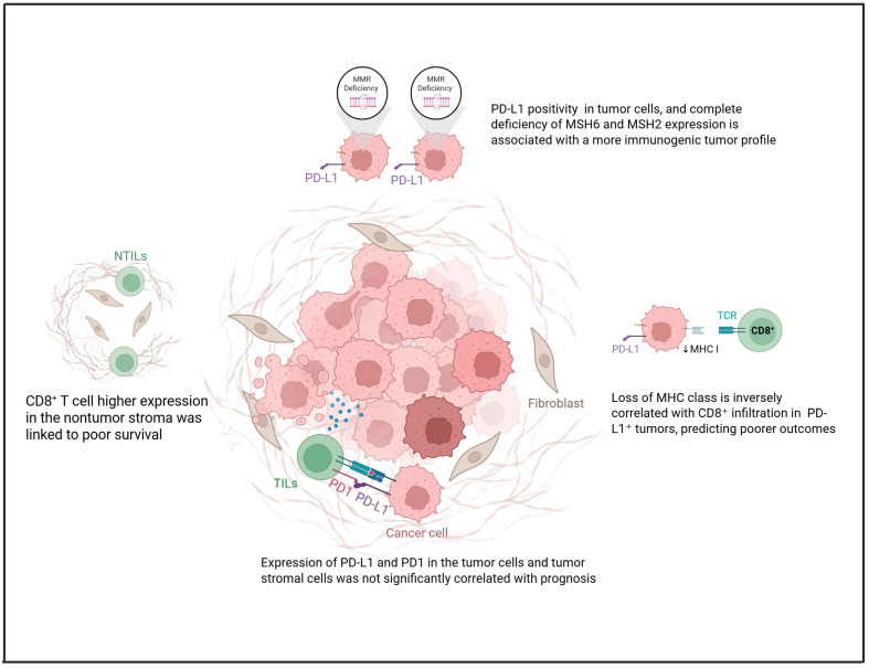 Tumor Immune Microenvironment and Checkpoint Inhibition in Clear Cell Ovarian Carcinoma: Bridging Tumor Biology and Clinical Application in Immunotherapy.