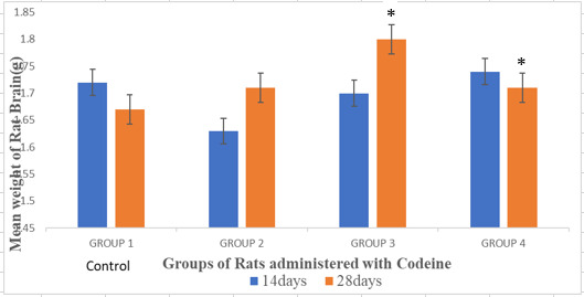 Effect of codeine administration on histopathology of brain and liver, in adult albino rats.