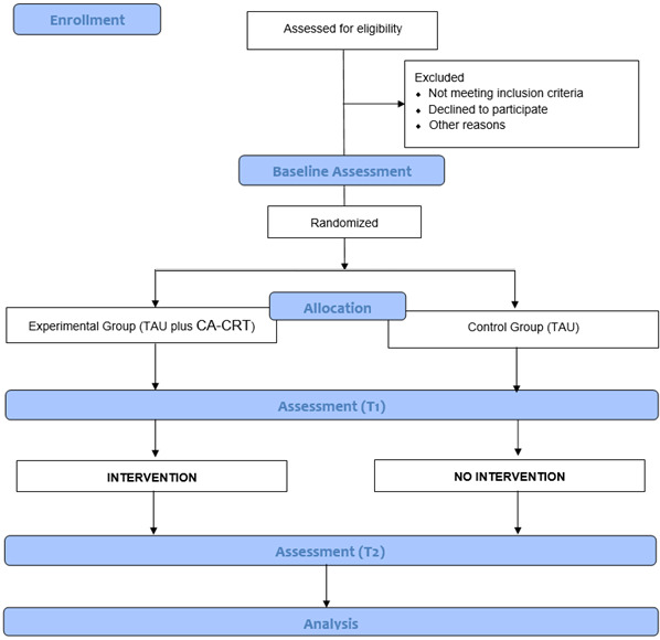 The CORTEX Project: A Pre-Post Randomized Controlled Feasibility Trial Evaluating the Efficacy of a Computerized Cognitive Remediation Therapy Program for Adult Inpatients with Anorexia Nervosa.