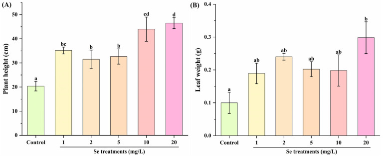 Effect of Selenium Fortification on Growth Performance and Nutritional Compounds of Kale (<i>Brassica oleracea</i> L. Var. <i>acephala</i> DC.).