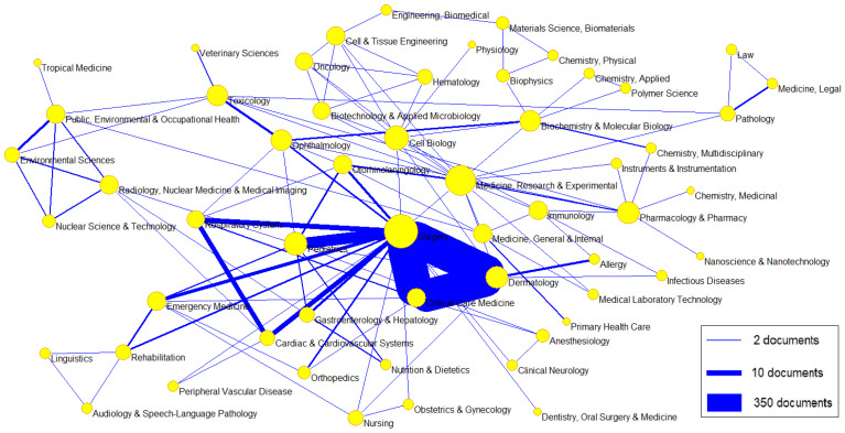 Scientific Production on Chemical Burns: A Bibliometric Analysis (1946-2024).