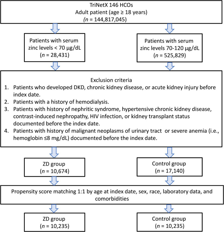 Zinc deficiency predicts new-onset diabetic kidney disease in type 2 diabetes: a retrospective cohort study.