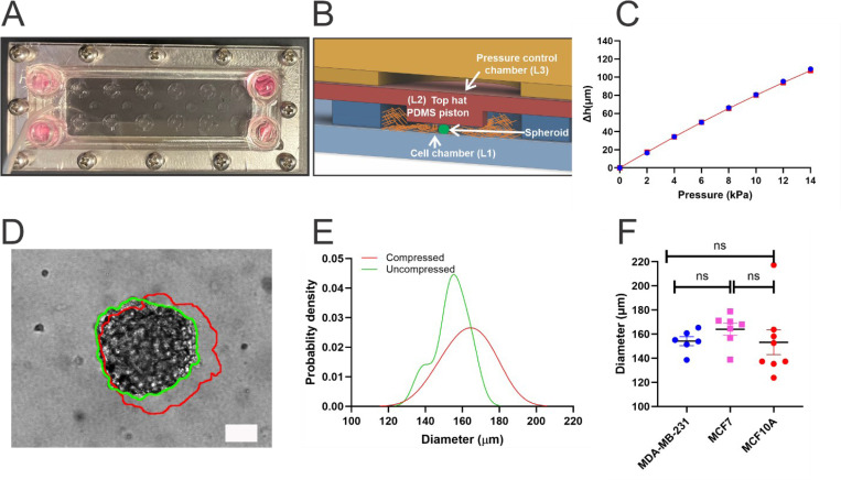 Viscoelastic properties of tumor spheroids revealed by a microfluidic compression device and a modified power law model.