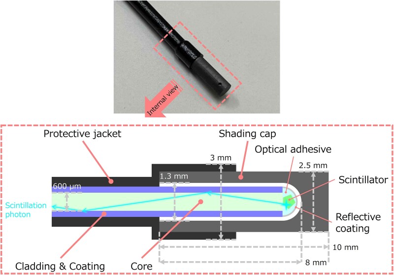 Three-dimensional reconstruction of a small piece of Ce-doped lithium glass scintillator of an optical fiber-based neutron detector using microcomputed tomography technique.