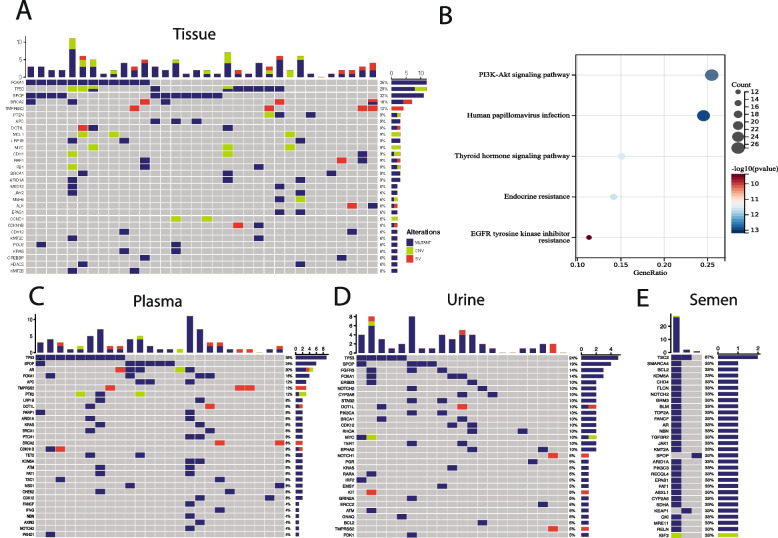 Evaluating sensitivity of NGS-based mutation detection across diverse sample types in prostate cancer.
