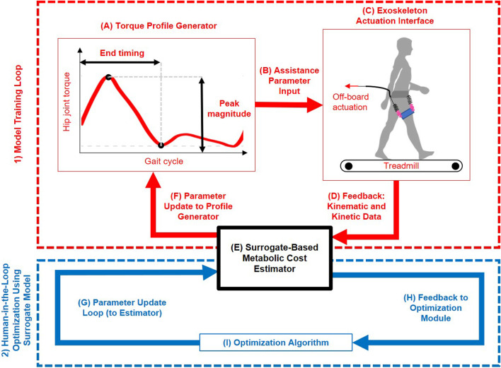 Optimizing hip exoskeleton assistance pattern based on machine learning and simulation algorithms: a personalized approach to metabolic cost reduction.