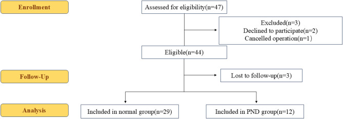 Adiponectin pathway regulates cerebral metabolic dysfunction and neuroinflammation via the AdipoR1/PI3K/Akt axis in Perioperative Neurocognitive Disorder.