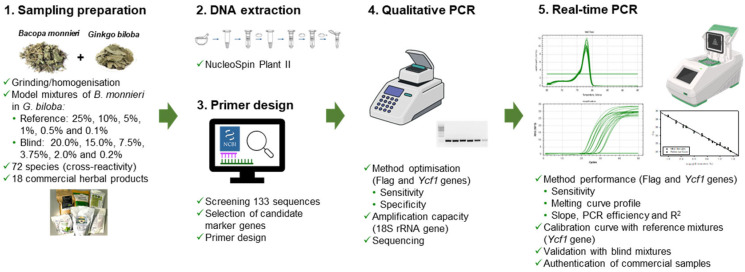 Exploiting Marker Genes for Reliable Botanical Authentication of <i>Bacopa monnieri</i> Products.