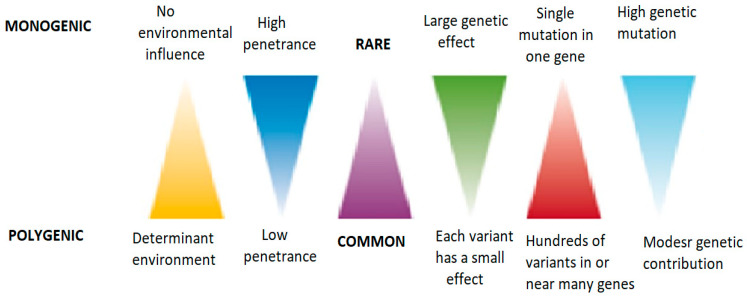 A Review of Syndromic Forms of Obesity: Genetic Etiology, Clinical Features, and Molecular Diagnosis.
