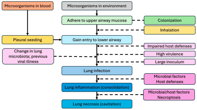 A Comprehensive Review of Pediatric Necrotizing Pneumonia.