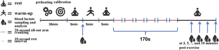 Influence of upper-body high-intensity intermittent training on energy metabolism and maximal oxygen uptake in elite swimmers.