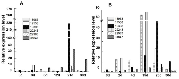 Spatiotemporal Profiling of Starch-Degrading Enzymes in Nong-Flavor Daqu: Molecular Markers for Quantitative Quality Evaluation.