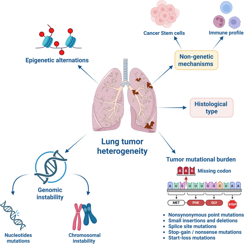 Unraveling the molecular-pathological characteristics and cellular complexity of the tumor immune microenvironment in metastatic non-small cell lung cancer.
