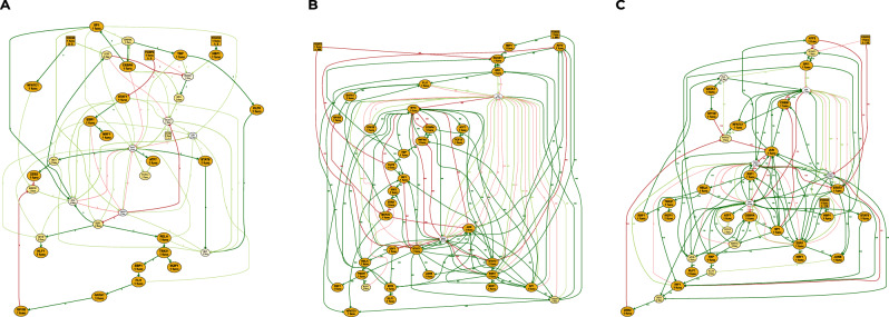 Data-driven inference of Boolean networks from transcriptomes to predict cellular differentiation and reprogramming.