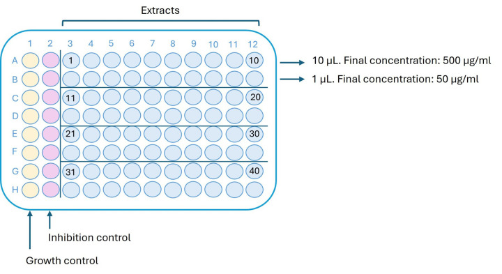 In Vitro Screening of Microbial Extracts Against the Oomycetes <i>Phytophthora capsici</i> and <i>Pythium ultimum</i>.