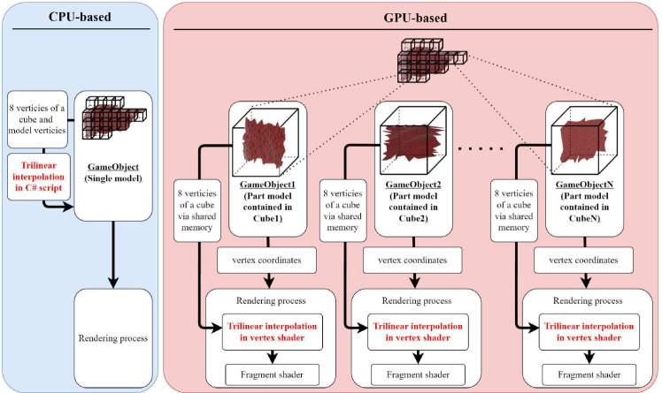 GPU-accelerated deformation mapping in hybrid organ models for real-time simulation.