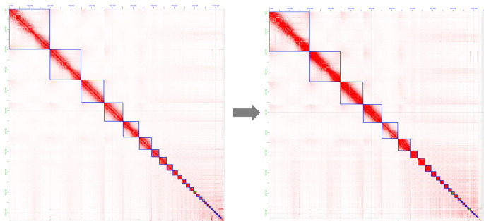 The genome sequence of the red-legged partridge, <i>Alectoris rufa</i> Linnaeus 1758.