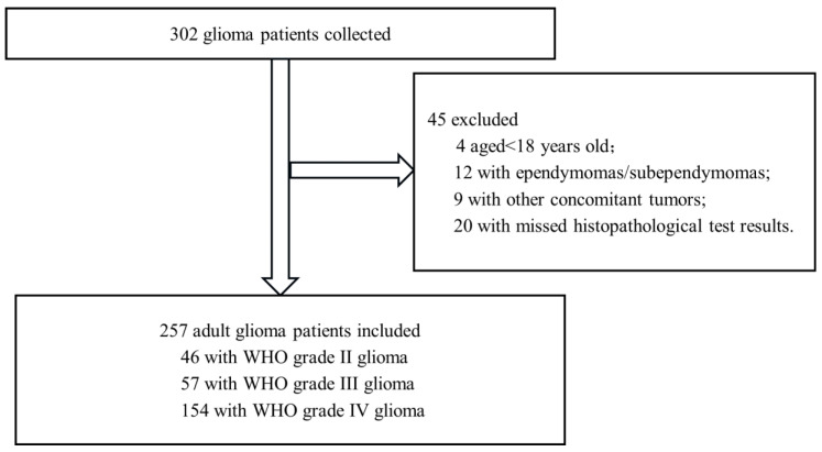 The Prognostic Value of a Nomogram Model Based on Tumor Immune Markers and Clinical Factors for Adult Primary Glioma.
