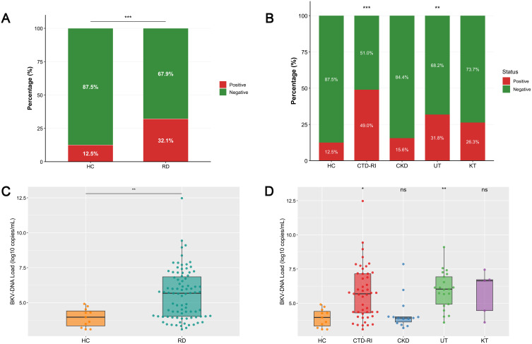 BK Polyomavirus Prevalence in Renal Diseases: Associations with Immunosuppressants and Lymphocyte Subsets.
