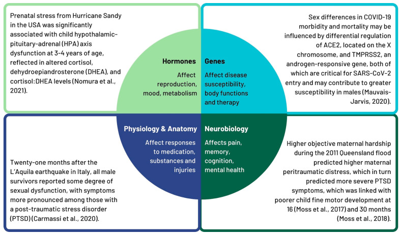 Sex and Gender Influences on the Impacts of Disasters: A Rapid Review of Evidence.