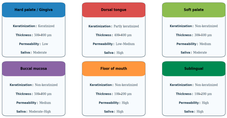 Targeting the Oral Mucosa: Emerging Drug Delivery Platforms and the Therapeutic Potential of Glycosaminoglycans.