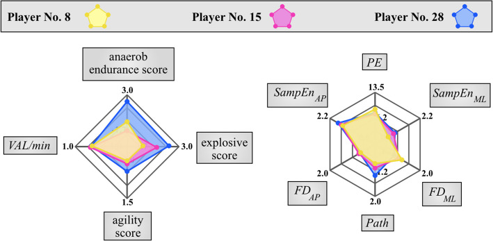 Integrating trunk endurance, dynamic stability, and in-game performance analysis in youth elite basketball players.