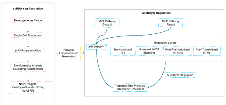 Metabolic Engineering of Terpenoid Biosynthesis in Medicinal Plants: From Genomic Insights to Biotechnological Applications.