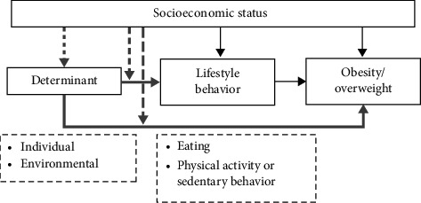 Determinants Associated With Obesity in Children of Low Socioeconomic Status Families: A Narrative Review.