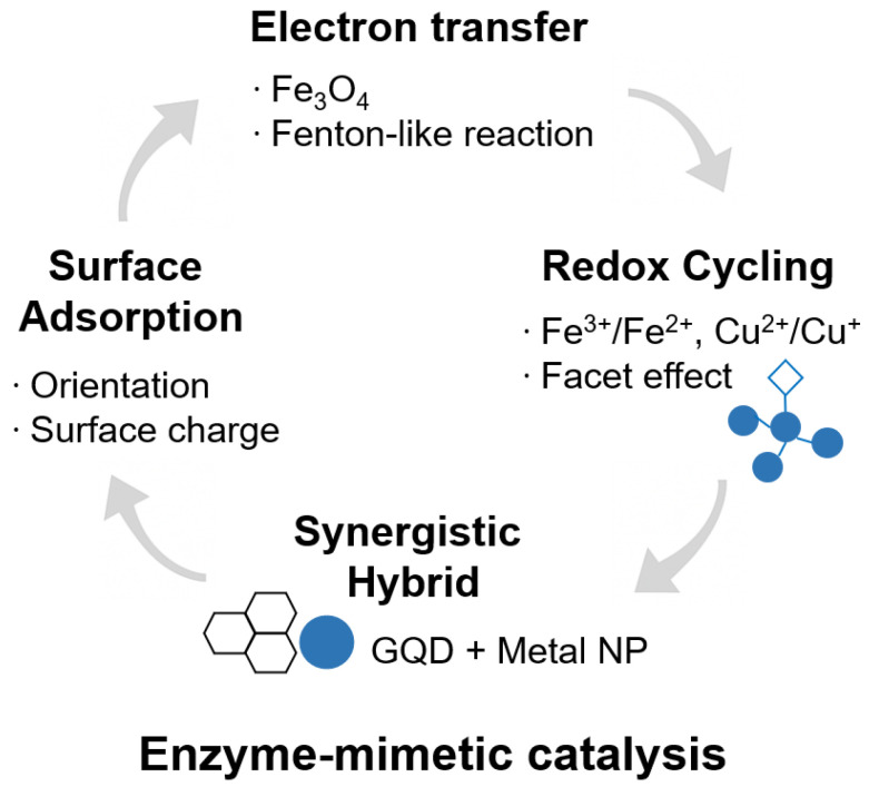 Deep Learning-Enhanced Nanozyme-Based Biosensors for Next-Generation Medical Diagnostics.