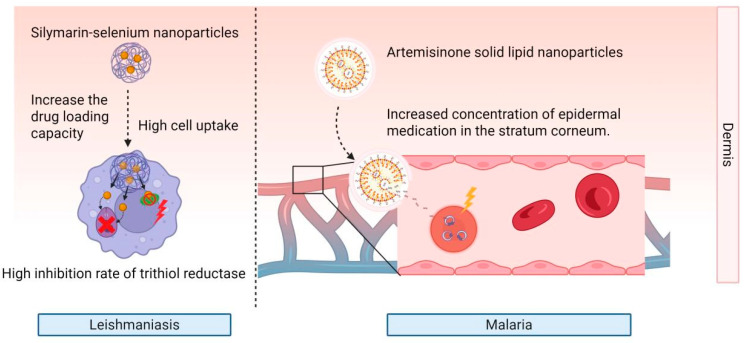 Nanoformulation-Based Transdermal Drug Delivery: A Paradigm Shift in Antiparasitic Therapy for Zoonotic Diseases.
