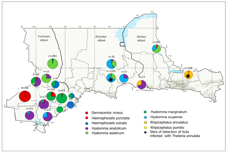 Molecular Study of <i>Theileria annulata</i> and <i>Anaplasma</i> spp. in Ixodid Ticks from Southern Regions of the Republic of Kazakhstan.