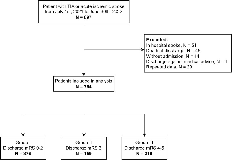 Continuum of Care and 3-month Outcomes in Acute Ischemic Stroke Patients Stratified by Discharge Functional Status: A Single-Center Retrospective Cohort Study.