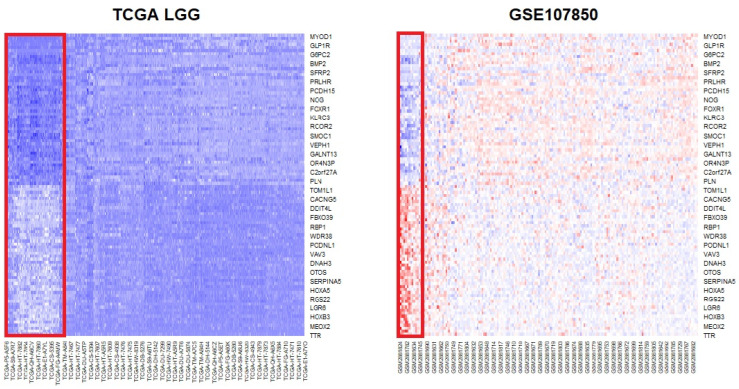 Transcriptomic Profile of Isocitrate Dehydrogenase Mutant Type of Lower-Grade Glioma Reveals Molecular Changes for Prognosis.