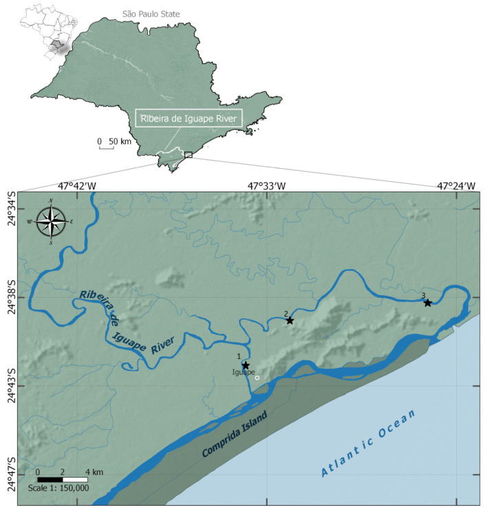 Decapod Crustaceans in a Transitional River System: Insights from the Ribeira de Iguape Ecoregion, Brazil.