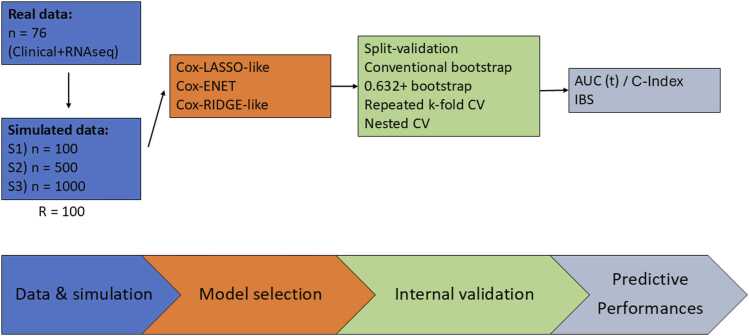 Internal validation strategy for high dimensional prognosis model: A simulation study and application to transcriptomic in head and neck tumors.